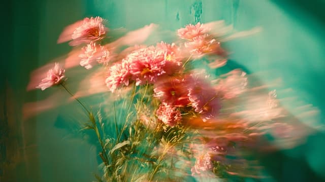 Free Photo Watermark Tool | Add Camera Watermarks to Photos Online